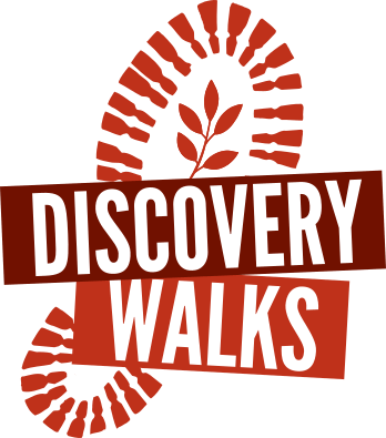 DiscoveryWalks_Logo