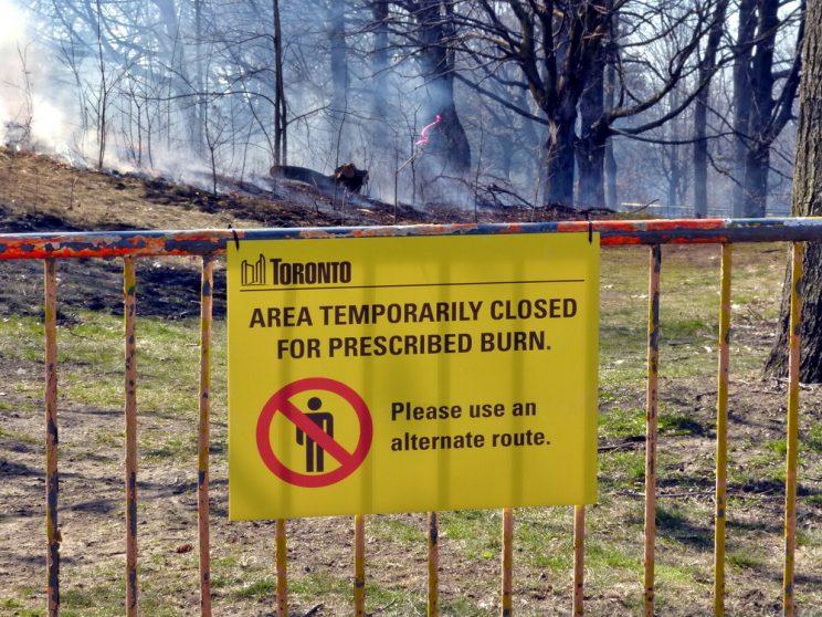 Sign and barrier. 2016. Photo: Karen Yukich