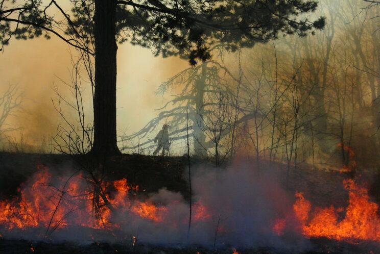 Prescribed burn with figure on hill. 2018. Photo: Irene Wilk