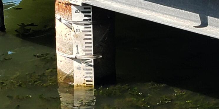 Metre stick at Grenadier Pond. Photo: Karen Yukich