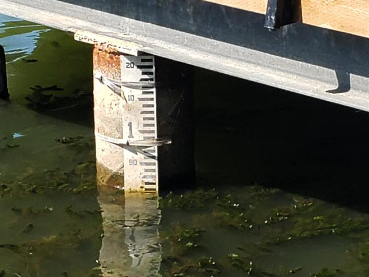 Metre stick at Grenadier Pond. Photo: Karen Yukich