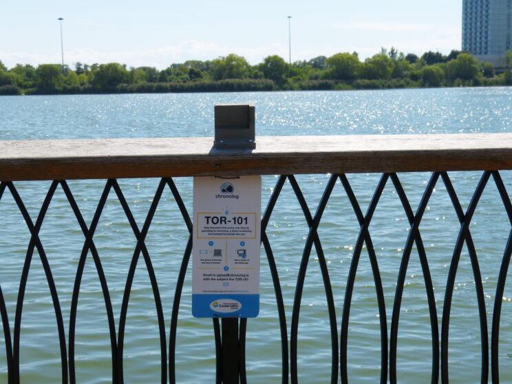 Chronolog project at Grenadier Pond. Photo: Karen Yukich