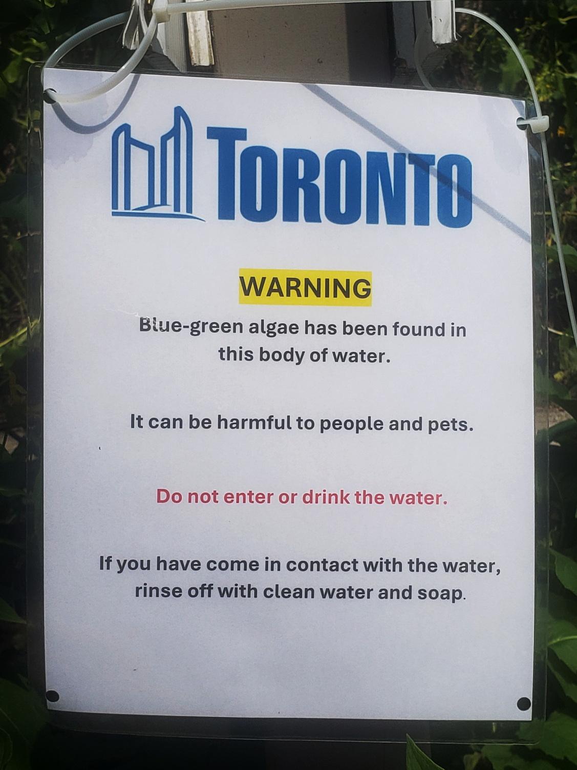 Algae warning at Grenadier Pond - High Park Nature