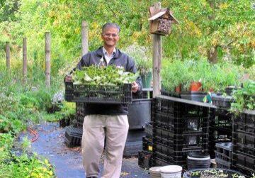 2013-High-Park-Stewards_in_Greenhouses_026-e