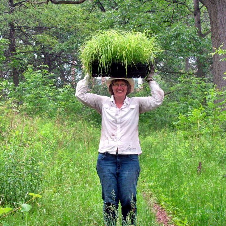 2015-High-Park-Stewards_Work_with_Plants_099-e