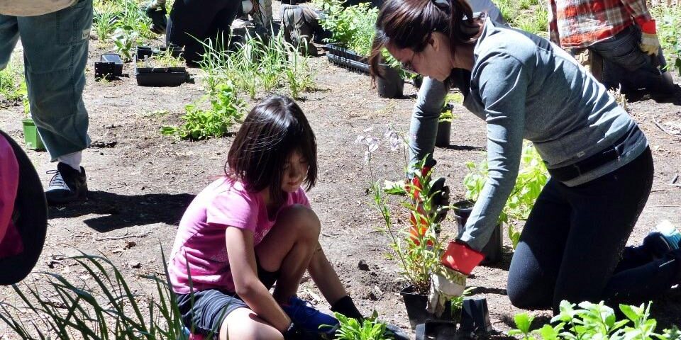 Stewards planting native plants. Photo: Sharon Lovett