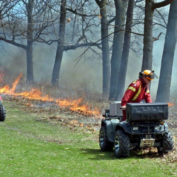 Prescribed Burn 2011. Photo: Karen Yukich