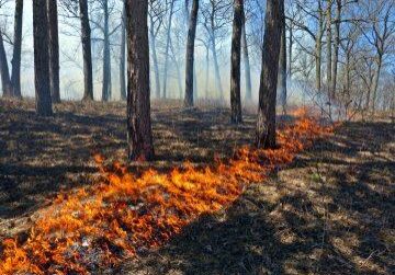 prescribed burn