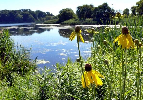 Grenadier Pond. Photo: David Stoneleigh