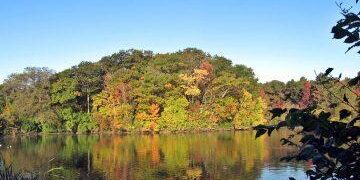 Lower Duck Pond. Photo: Barbi Lazarus