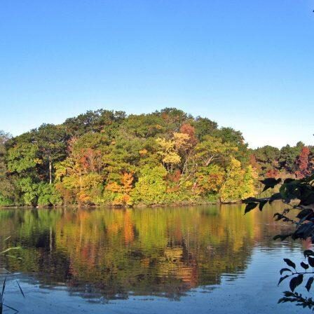 Lower Duck Pond. Photo: Barbi Lazarus