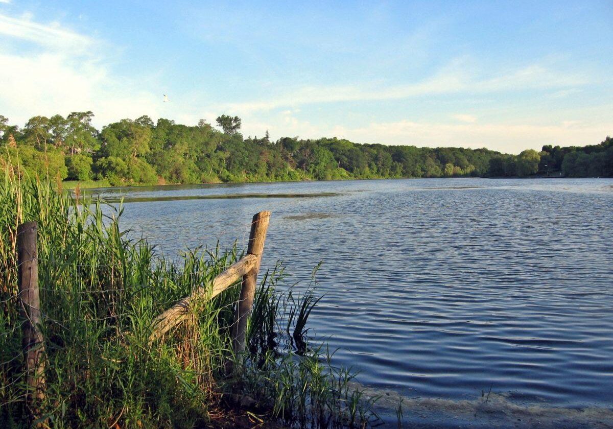 Grenadier Pond. Photo: Barbi Lazarus