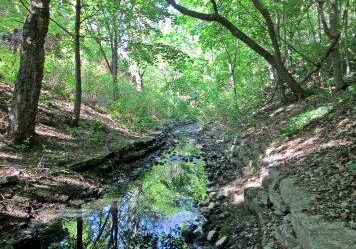 Wendigo Creek. Photo: Viva Tsvetnova