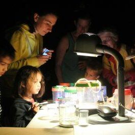 MothNight2015-20150722IDtable_sm7-Irene_Wilk