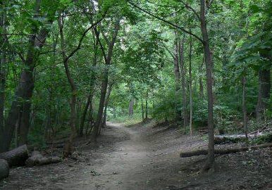 Western Woodlands Nature Trail. Photo: Karen Yukich